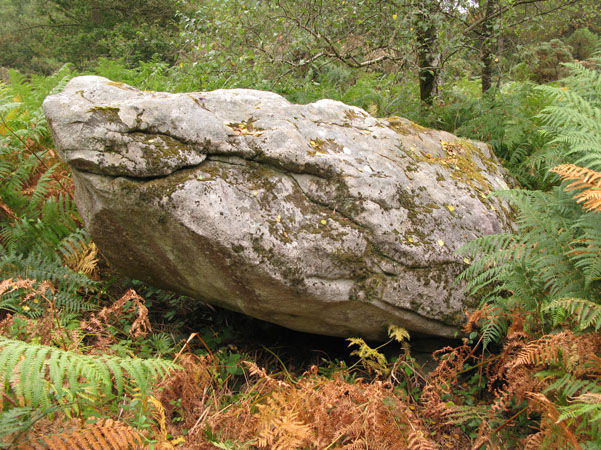 Menhir in Man&eacute:-Roc'h